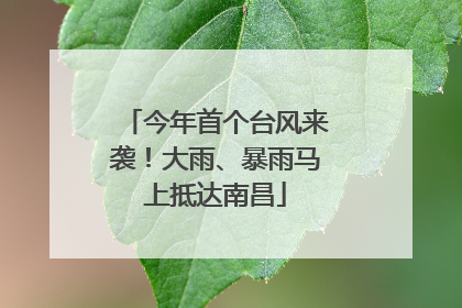 今年首个台风来袭！大雨、暴雨马上抵达南昌