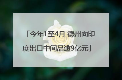 今年1至4月 德州向印度出口中间品逾9亿元