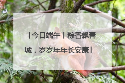 今日端午丨粽香飘春城，岁岁年年长安康