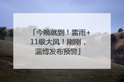 今晚就到！雷雨+11级大风！刚刚，淄博发布预警
