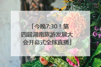 今晚7:30！第四届湖南旅游发展大会开幕式全球直播