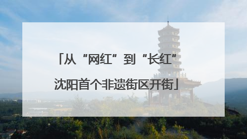 从“网红”到“长红” 沈阳首个非遗街区开街