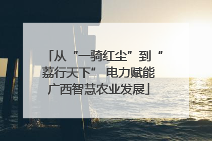 从“一骑红尘”到“荔行天下” 电力赋能广西智慧农业发展