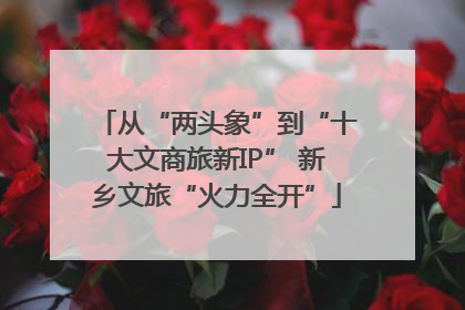 从“两头象”到“十大文商旅新IP” 新乡文旅“火力全开”