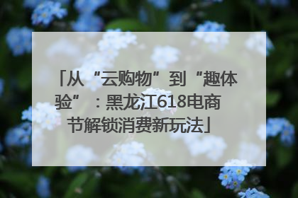 从“云购物”到“趣体验”：黑龙江618电商节解锁消费新玩法