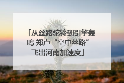 从丝路驼铃到引擎轰鸣 郑卢“空中丝路”飞出河南加速度