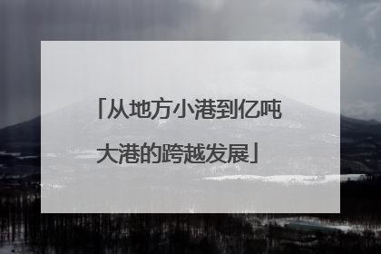 从地方小港到亿吨大港的跨越发展