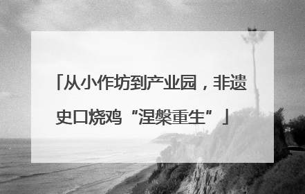 从小作坊到产业园，非遗史口烧鸡“涅槃重生”