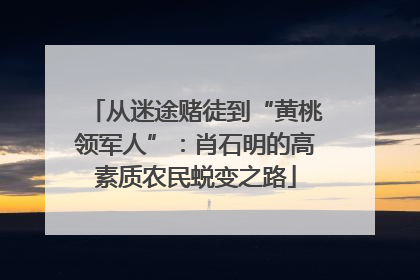 从迷途赌徒到“黄桃领军人”：肖石明的高素质农民蜕变之路