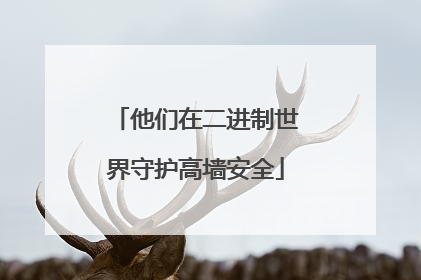 他们在二进制世界守护高墙安全