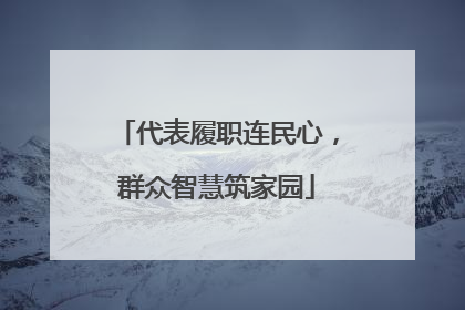 代表履职连民心，群众智慧筑家园
