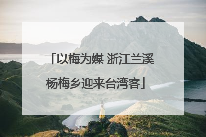 以梅为媒 浙江兰溪杨梅乡迎来台湾客