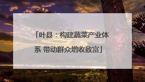 叶县：构建蔬菜产业体系 带动群众增收致富