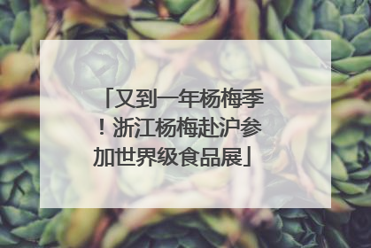 又到一年杨梅季！浙江杨梅赴沪参加世界级食品展