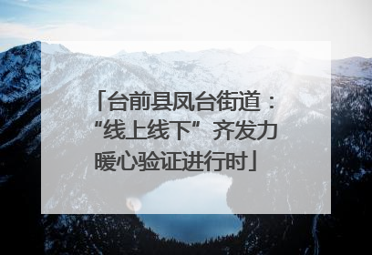 台前县凤台街道：“线上线下”齐发力 暖心验证进行时