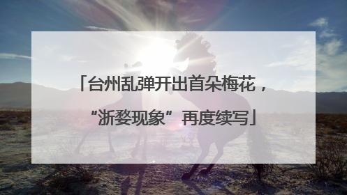 台州乱弹开出首朵梅花，“浙婺现象”再度续写