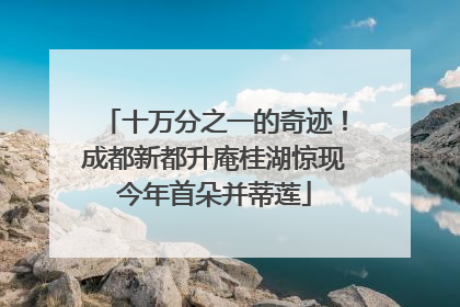 十万分之一的奇迹！成都新都升庵桂湖惊现今年首朵并蒂莲