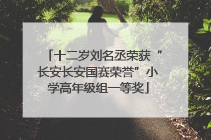 十二岁刘名丞荣获“长安长安国赛荣誉”小学高年级组一等奖