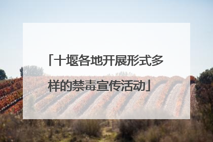 十堰各地开展形式多样的禁毒宣传活动