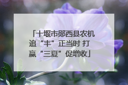 十堰市郧西县农机追“丰”正当时 打赢“三夏”促增收
