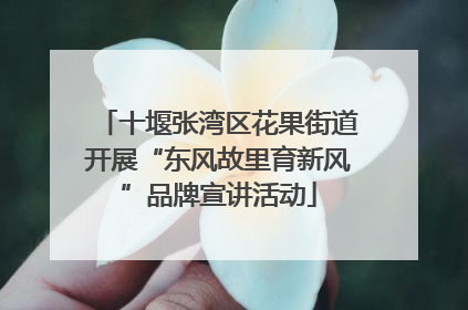 十堰张湾区花果街道开展“东风故里育新风”品牌宣讲活动