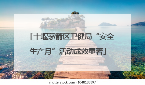 十堰茅箭区卫健局“安全生产月”活动成效显著
