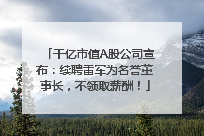 千亿市值A股公司宣布：续聘雷军为名誉董事长，不领取薪酬！