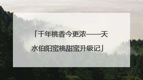 千年桃香今更浓——天水伯阳蜜桃甜蜜升级记