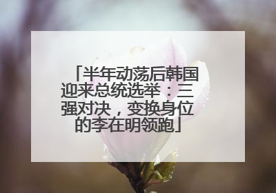 半年动荡后韩国迎来总统选举：三强对决，变换身位的李在明领跑