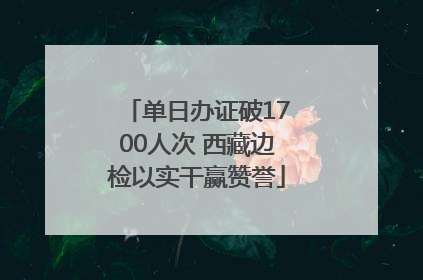 单日办证破1700人次 西藏边检以实干赢赞誉