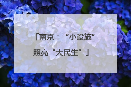 南京：“小设施”照亮“大民生”