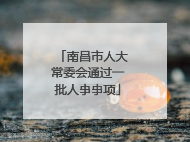 南昌市人大常委会通过一批人事事项