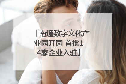 南通数字文化产业园开园 首批14家企业入驻