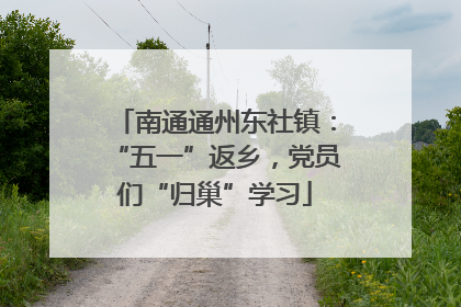 南通通州东社镇：“五一”返乡，党员们“归巢”学习