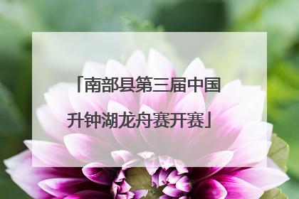 南部县第三届中国升钟湖龙舟赛开赛