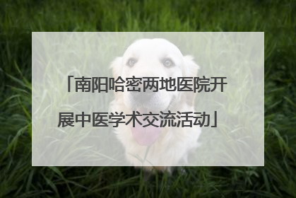 南阳哈密两地医院开展中医学术交流活动