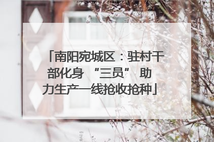 南阳宛城区：驻村干部化身 “三员” 助力生产一线抢收抢种