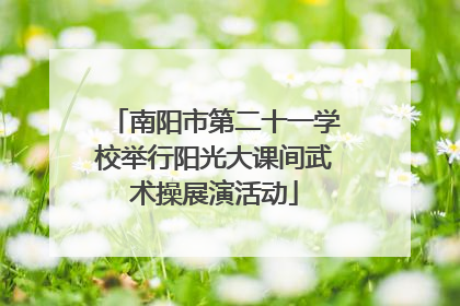 南阳市第二十一学校举行阳光大课间武术操展演活动