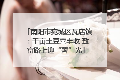 南阳市宛城区瓦店镇：千亩土豆喜丰收 致富路上迎“薯”光