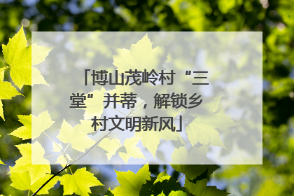 博山茂岭村“三堂”并蒂，解锁乡村文明新风