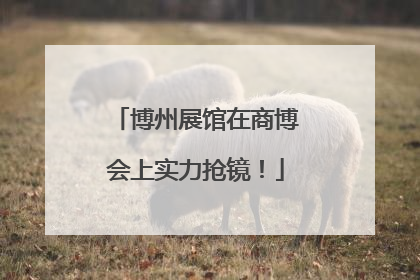 博州展馆在商博会上实力抢镜！
