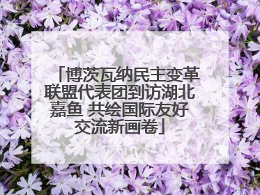 博茨瓦纳民主变革联盟代表团到访湖北嘉鱼 共绘国际友好交流新画卷