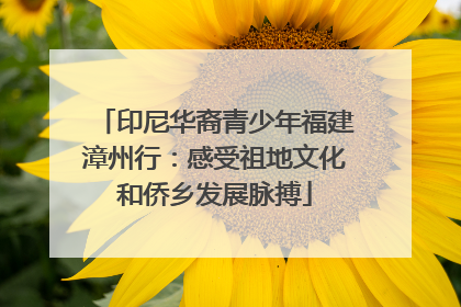 印尼华裔青少年福建漳州行：感受祖地文化和侨乡发展脉搏