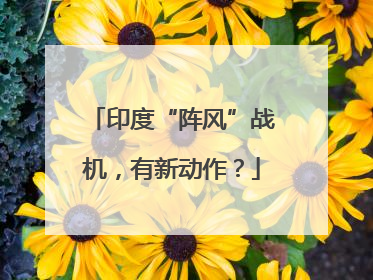 印度“阵风”战机，有新动作？