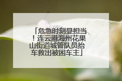危急时刻显担当！连云港海州花果山街道城管队员抬车救出被困车主