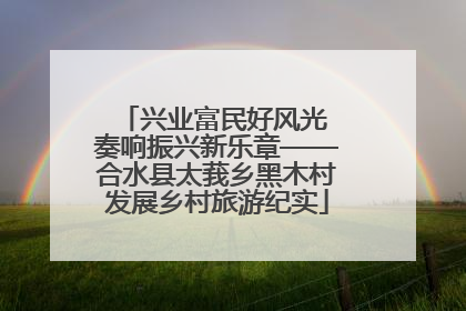 兴业富民好风光 奏响振兴新乐章——合水县太莪乡黑木村发展乡村旅游纪实