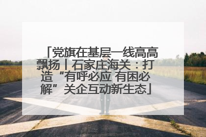 党旗在基层一线高高飘扬丨石家庄海关：打造“有呼必应 有困必解”关企互动新生态