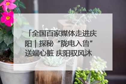 全国百家媒体走进庆阳｜探秘“陇电入鲁”送端心脏 庆阳驭风沐光点亮齐鲁万家