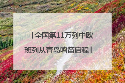 全国第11万列中欧班列从青岛鸣笛启程