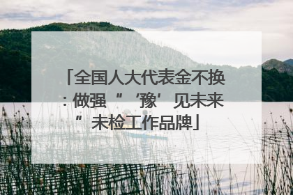 全国人大代表金不换：做强“‘豫’见未来”未检工作品牌